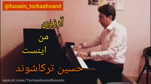 حسین ترکاشوند اجرای ترانه دل دیوانه ویگن