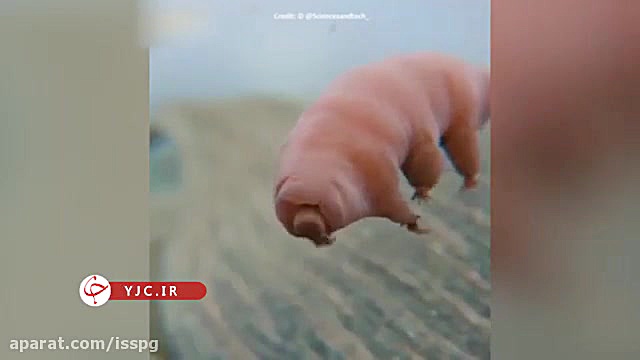 جان سخت&zwnj;ترین موجود زنده ر...