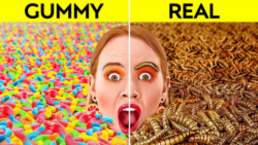 تفریحی سرگرمی | تفریح بانوان |...