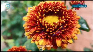مژده عید آمد