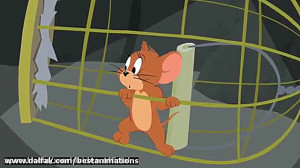 کارتون تام و جری | تام و جری ج...