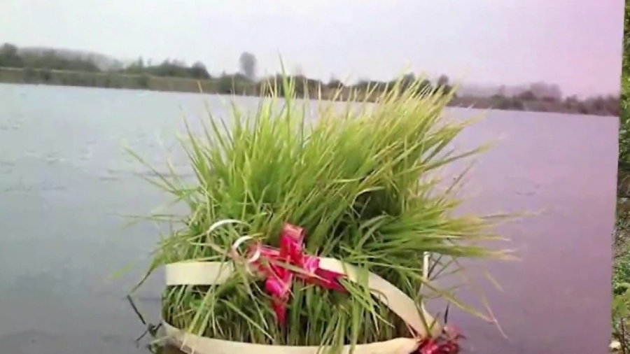 کلیپ ۱۳ بدر ۱۴۰۱ :: کلیپ مراسم...