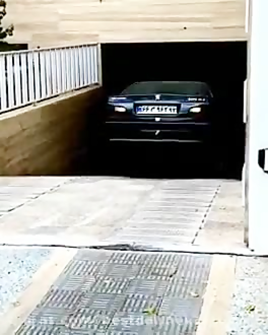 W&Ograve;LF &Egrave;LX XXXX