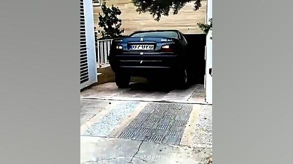 W&Ograve;LF &Egrave;LX XXXX