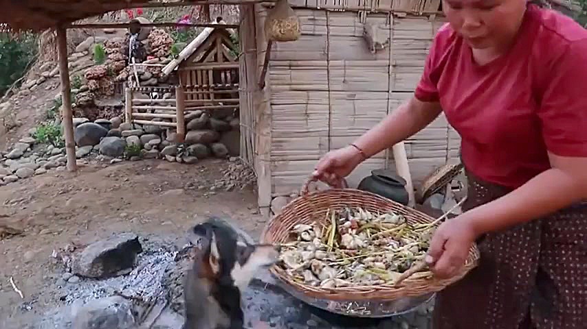 آموزش تمیز و پاک کردن غورباقه