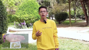 مستند گیاهان دارویی