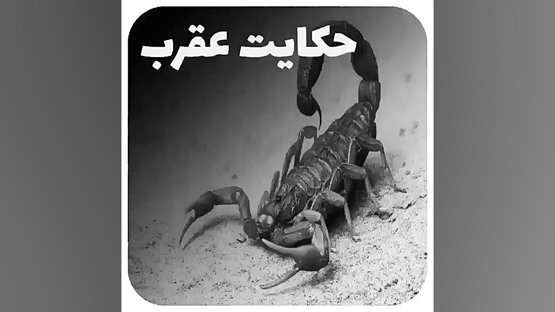 حکایت عقرب و گنجشک