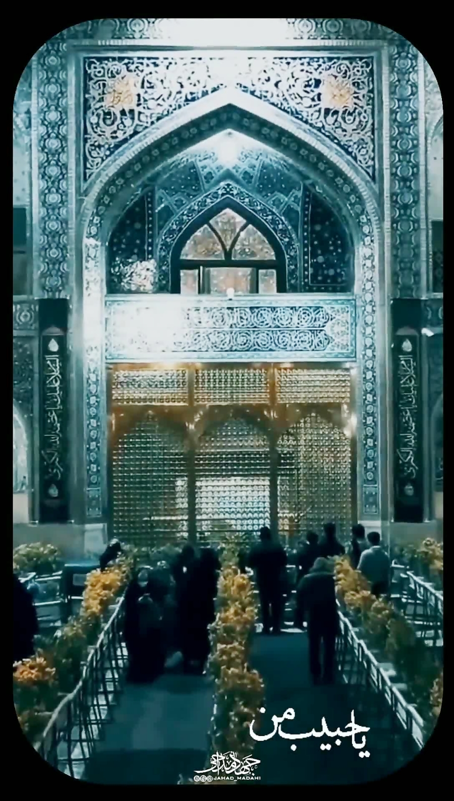 یا حبیب من لا حبیب له رضا | سید محمد رضا نوشه ور
