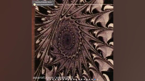 شما کدام یک از فندک های 2016 ز...