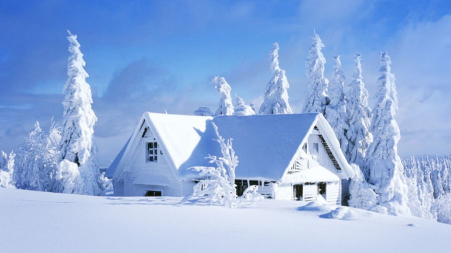 مرگ لیدی باگ