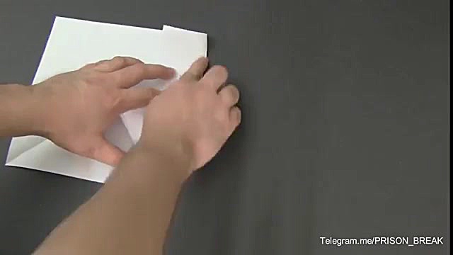 اموزش ساخت اردک مایکل اسکافیلد...