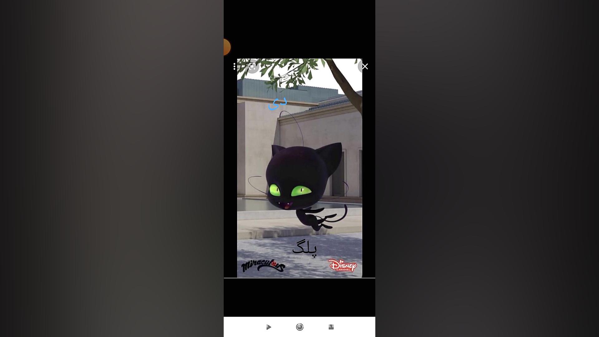 شخصیت های دختر کفش دوزکی کوامی