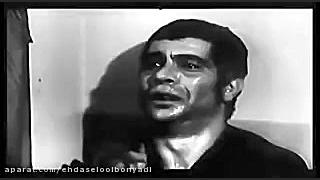 سکانسی ماندگار از گوزنها با با...