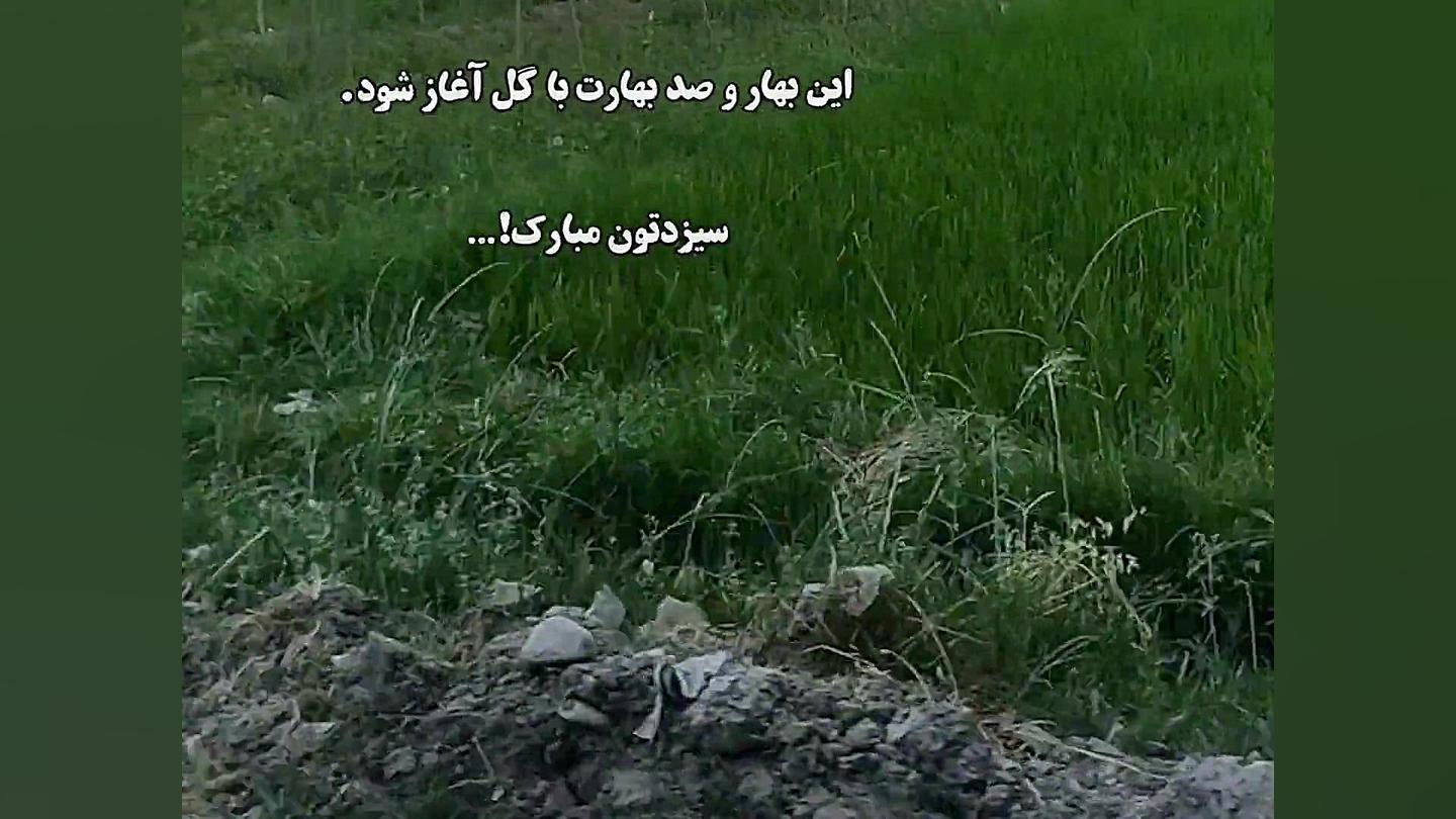 صبح بخیر ،۱۳ بدر،سیزده بدر ،۱۳...