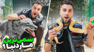 رفتم تو قفس حیوانات خطرناک تو...