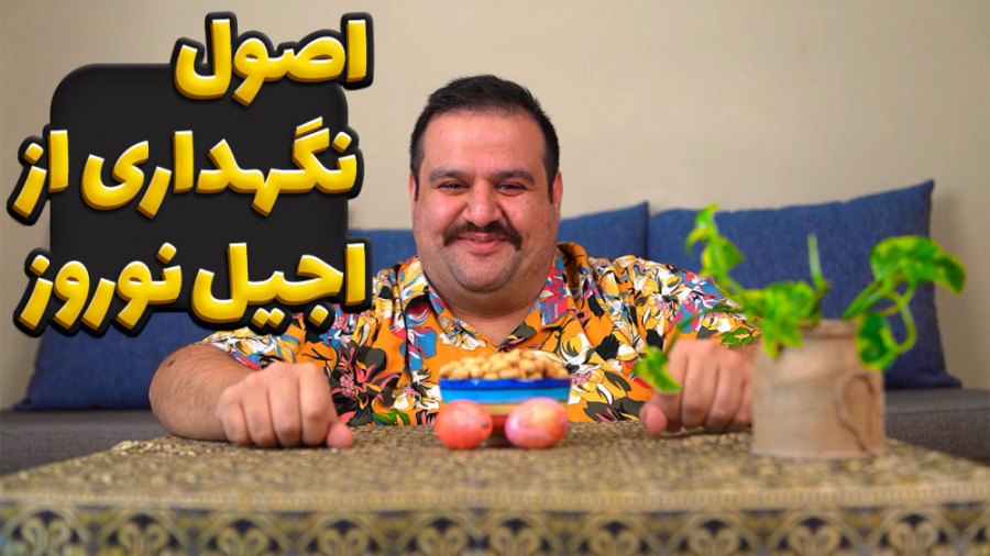 اصول حرفه ای نگهداری از اجیل ن...