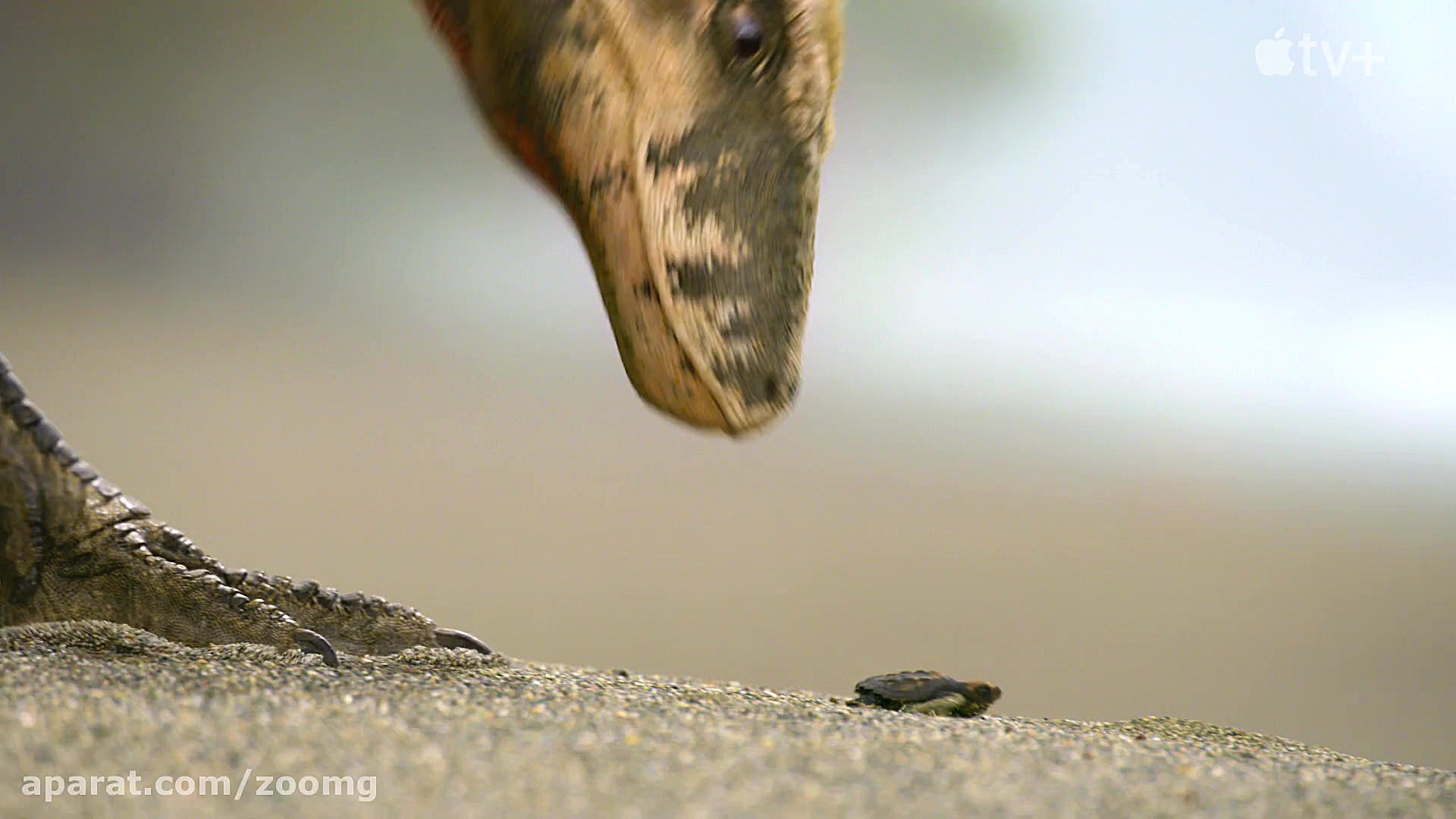 اولین ویدیو رسمی مستند Prehist...