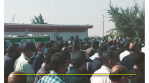 همه با زبان روزه آمدند