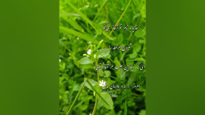 سلام ،صبح بخیر انگیزشی،صبح بخی...