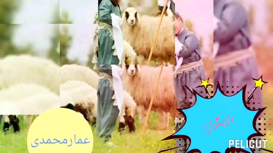 فیلم کوردی