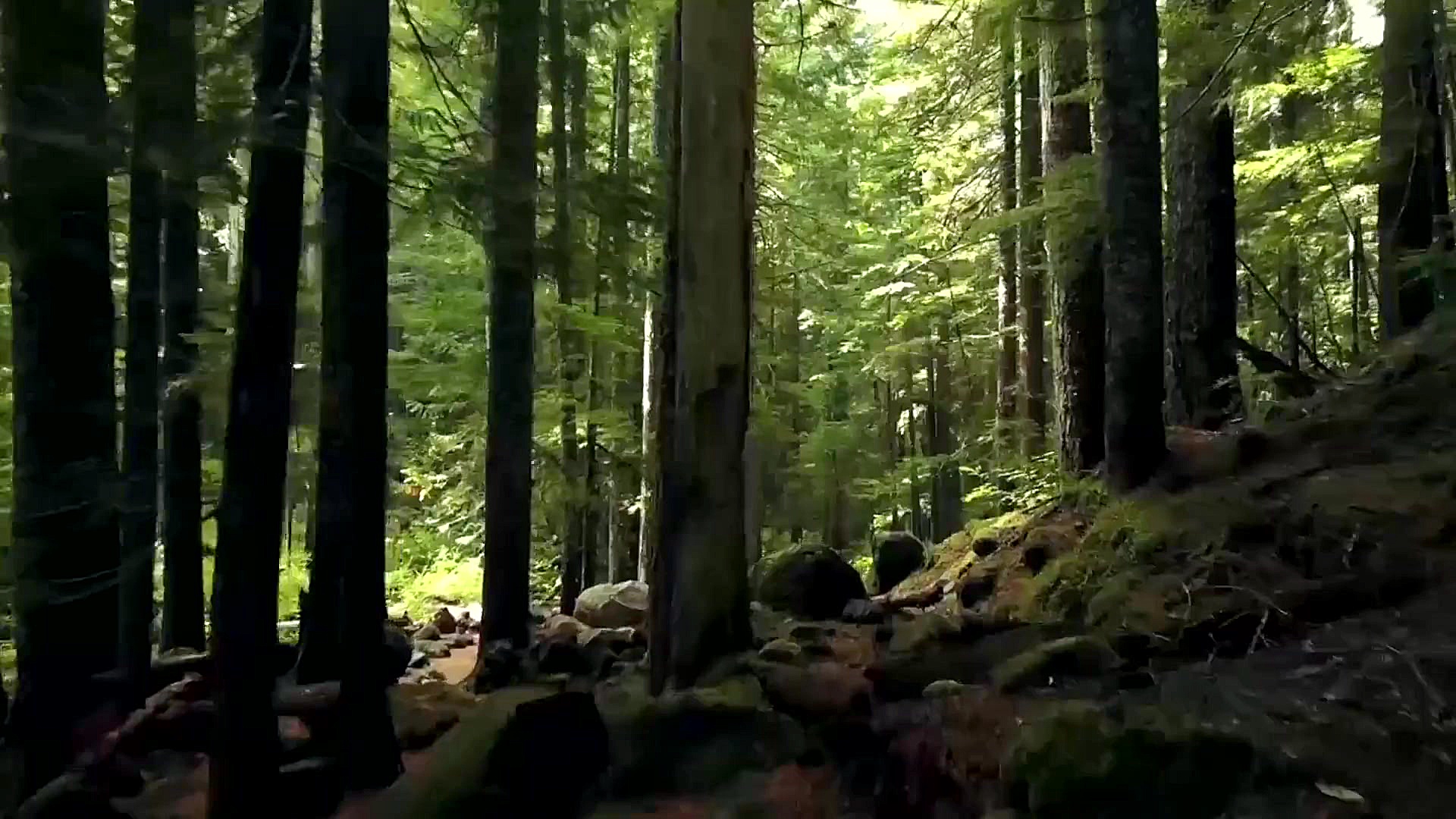 موزیک بی کلام پیانو با مناظر ز...