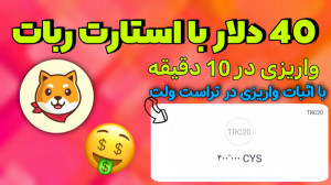 ۴۰ دلار با استارت ربات | ایردر...