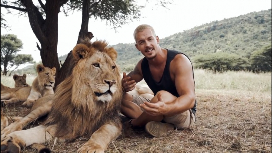 دوستی مرد جوان با شیرهای بزرگ...