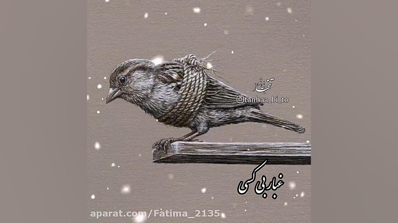 فلک تیرم نزن...