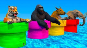 انتخاب لوله آب خوش شانس گوریل،...