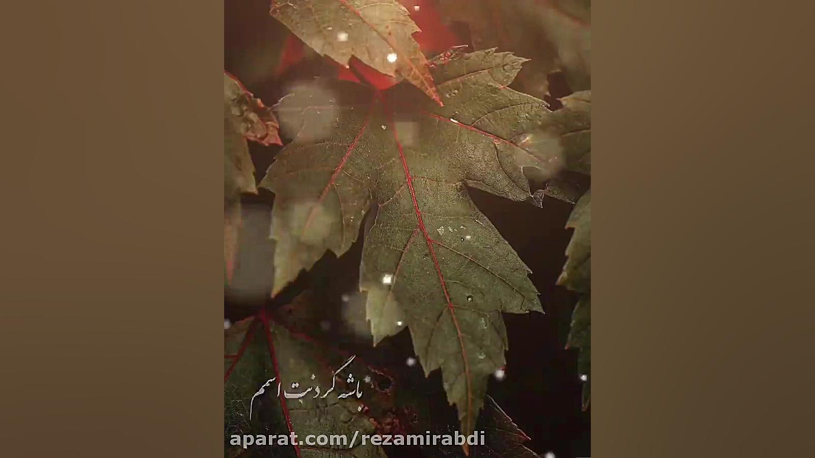 باشه گردنت اسمم  آهنگ جدید عاش...