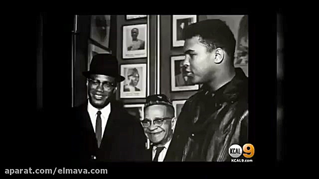 محمد علی کلی در گذشت