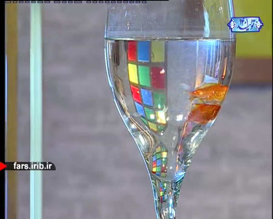 ترانه &quot; راز دل ما &quot;...