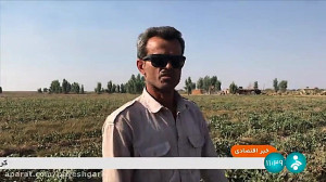 ماجرای نامه جعلی کشت شلتوک در...