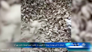حوزه تجاری فندق و پسته