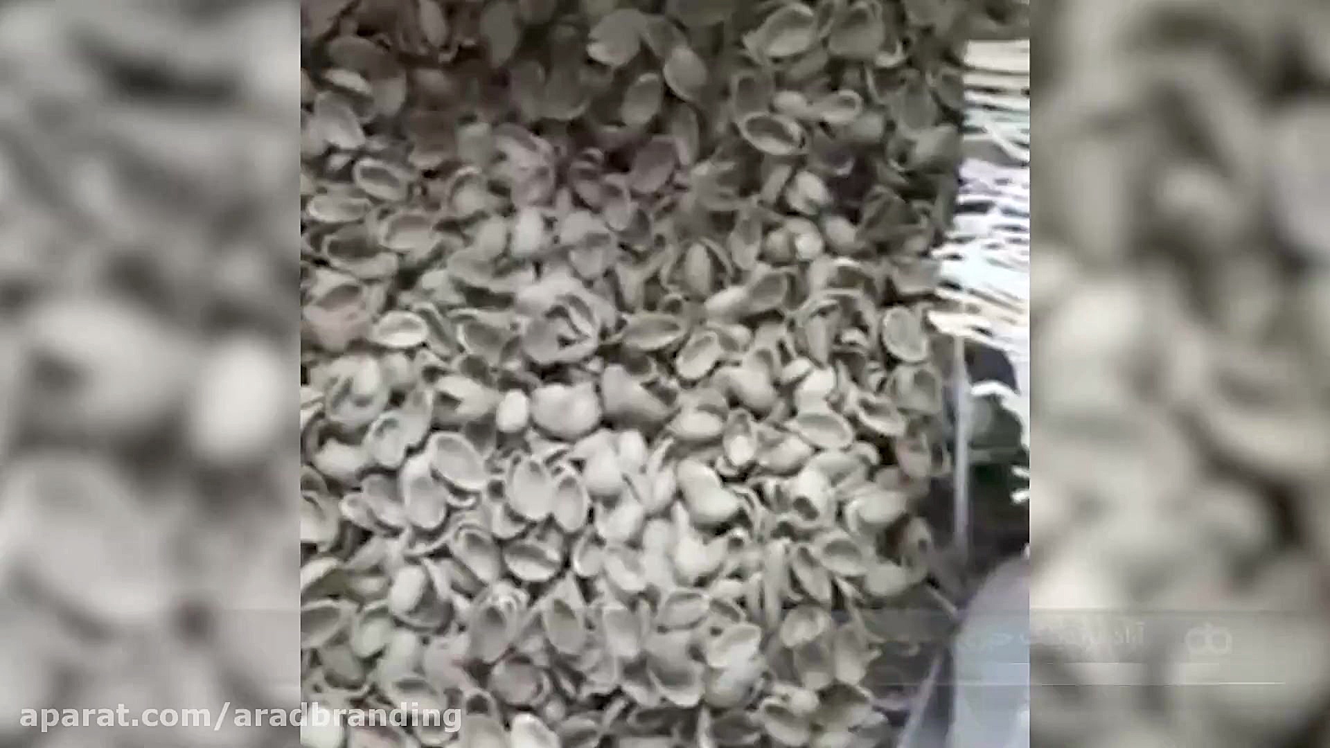 حوزه تجاری فندق و پسته