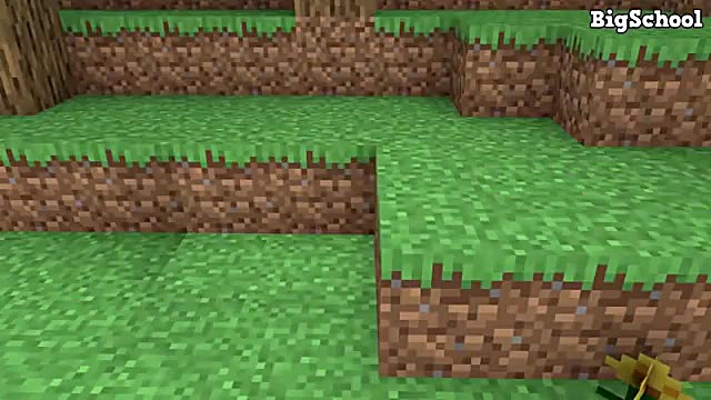 انیمیشن ماینکرافت