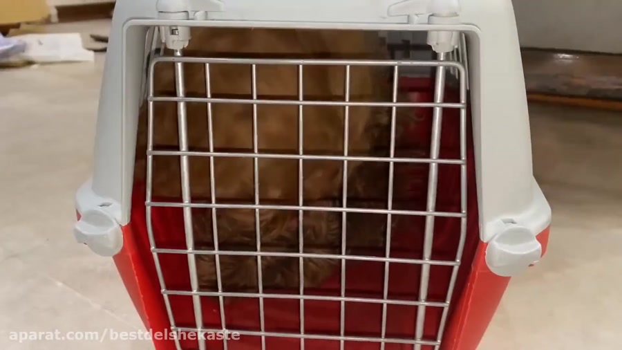 ولاگ سفربه مشهد