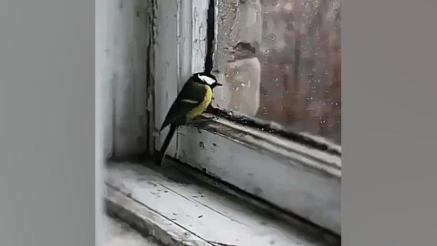 کلیپ تکست خدا .دلنوشته ناب .حر...