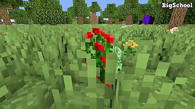 انیمیشن ماینکرافت