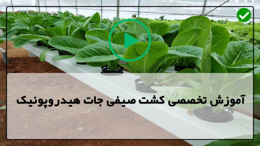 فیلم علوفه هیدروپونیک گلخانه ه...