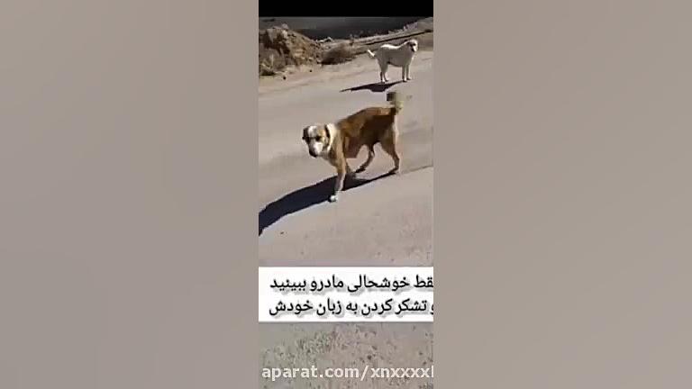 با حیوانات مهربان باشیم احساسی...