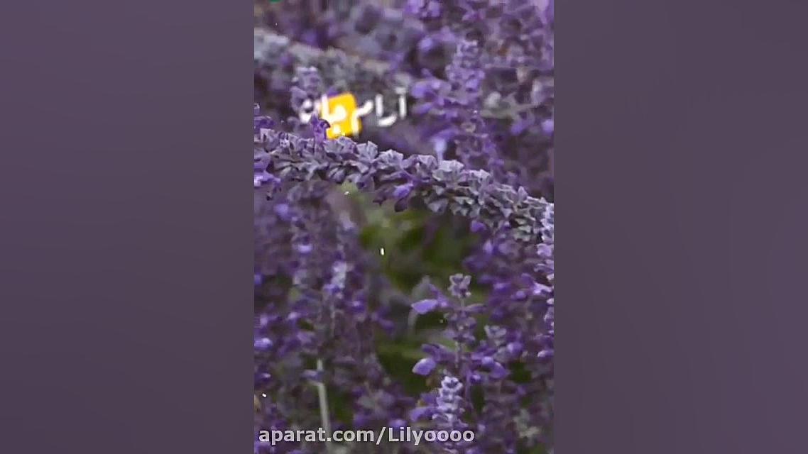 دعای عاشقانه با خدا...ما را هم...