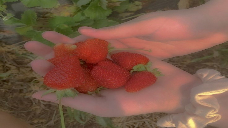 احـ‌سـ‌آس آراܩـ‌ݜ بـ‌ا ایـ‌ن ۅ...