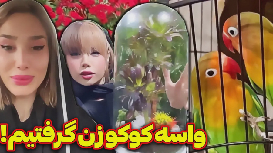 با آرزو اومدیم باغ گل  بهار و...