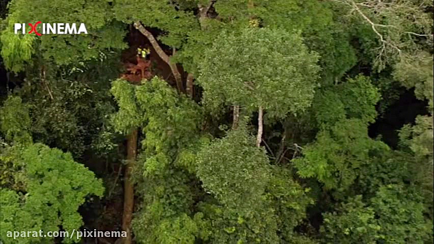 مستند خانه Home ، سکانس تلاش ب...