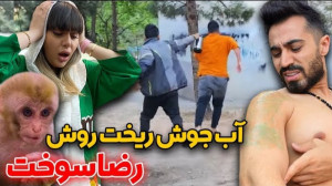 سپهر و به عنوان میمون خونگی فر...
