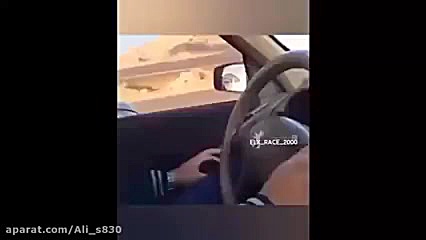 پودر شدن(206 تخم مرغ) به دست(س...