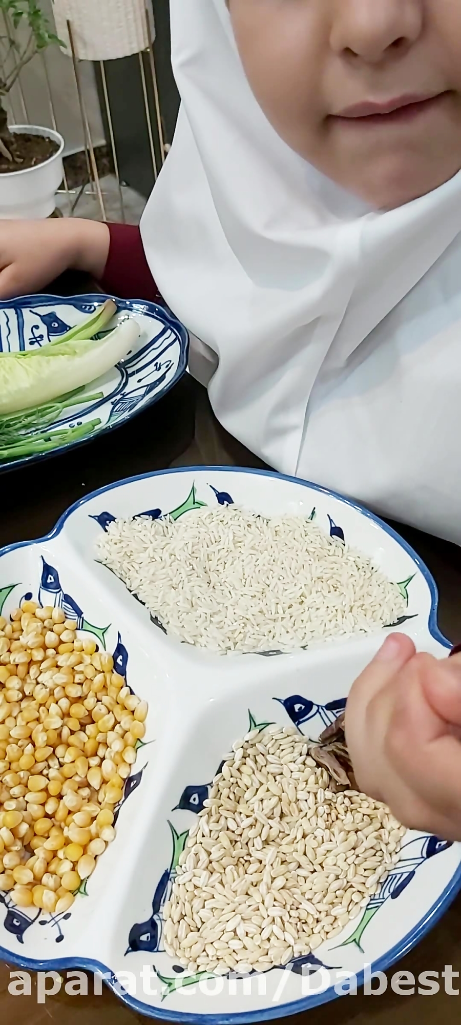 دانه های یک قسمتی و دو قسمتی