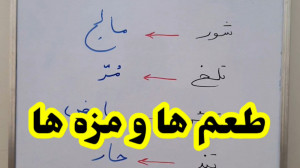 طعم ها و مزه ها به عربی