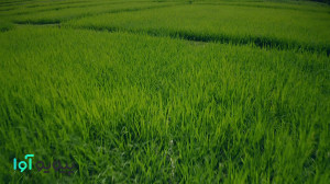 کلیپ درباره ی خدا، شعر توحیدی...